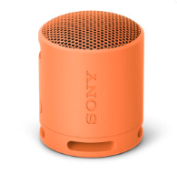 ALTAVOZ SONY SRS-XB100 WIRELESS (Ref: 5059/ORSONSXB100)