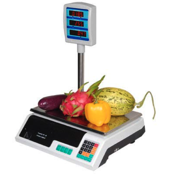 Báscula Digital con Torre para Interior o Exterior - Precisión y Confiabilidad en Cada Peso (Ref: 5057/100009) - Imagen 3